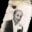 A.MUSTAFA KIRA�