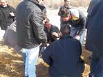 26.02.2012 �AY KENARI...