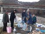 26.02.2012 �AY KENARI...