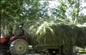 1986 da �ekilmi� bir g�r�nt�.Bekir �akan'a te�ekk�rler....
