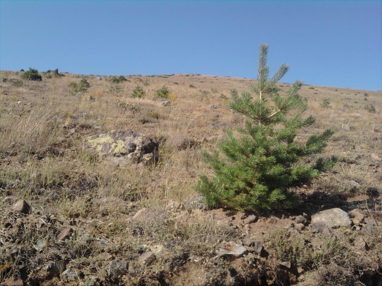 ALAÇAYIR KÖYÜ...