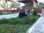 Bahar 2011...