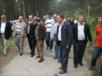 2011 y�l� p�kn�k...