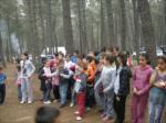 2011 Piknik...