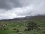 Bahar 2011...