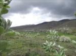Bahar 2011...