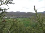 Bahar 2011...