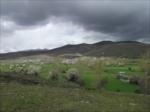 Bahar 2011...