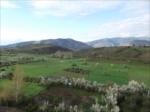 Bahar 2011...