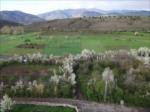 Bahar 2011...
