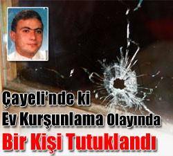 Bir a�a� y�z�nden evi kur�unlam��t�lar ...
