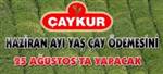 Ya� �ay �demesi 25 a�ustos�ta