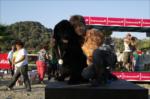 4. k�pek g�zellik yar��mas�...