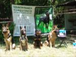 Countryranch' te k�pek show