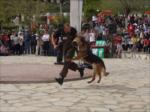 Countryranch' te k�pek show...
