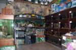 oasis petshop...