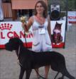 Dü�ess, Hanna Miral Kherson, Danua köpe�i, 4. Kategori...