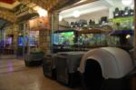 oasis petshop...