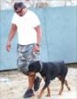 Tayra (Rottwailer) Sn. Mahmut �a� 4. Kategori ikincisi...