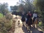 at safari...