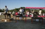 4. k�pek g�zellik yar��mas�...