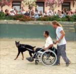 Countryranch k�pek g�zellik yar��mas�...