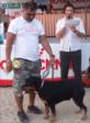 Tayra (Rottwailer) Sn. Mahmut �a� 4. Kategori ikincisi...