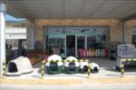 kipa petshop...