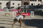 Countryranch' te k�pek show...