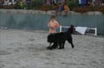 4. k�pek g�zellik yar��mas�...