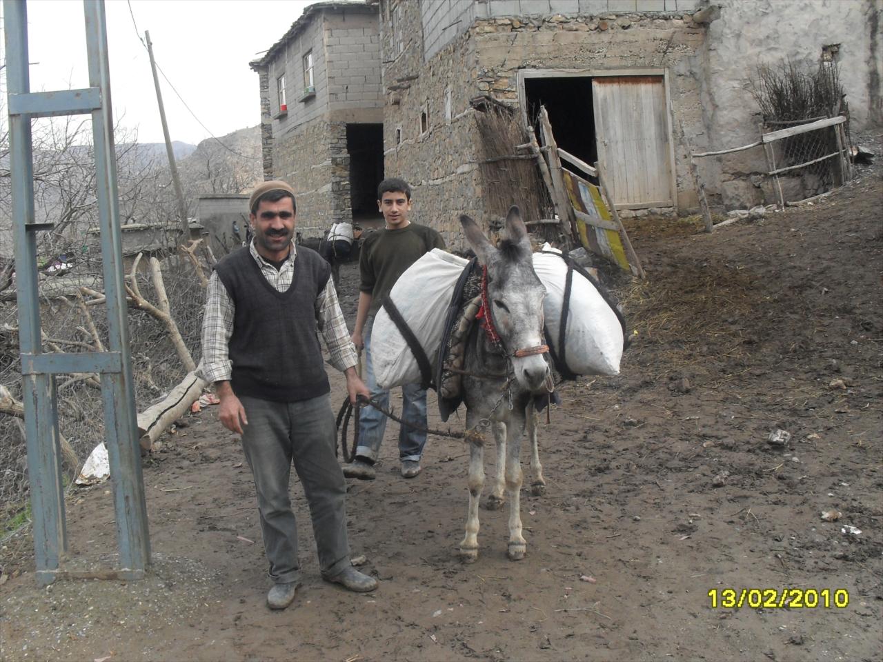k�yl� ve merkebi...