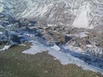 cemal sahin�den g�le�lerden bir k�s g�n�...