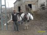 k�yl� ve merkebi