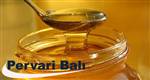 PERVAR� K�LT�R SANAT VE BAL FEST�VAL� BA�LADI