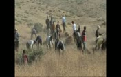bu�day biçme-2...