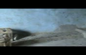keklik �t���...