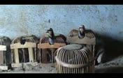 k�nal� keklik...