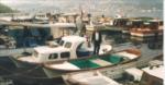 Ba�l�k Yok...