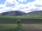 k�ltepeden koy...