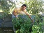 Ba�l�k Yok...