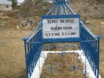 �emsi navruz...