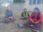 ismihan �erife alime...