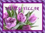 mutlu y�llar...