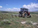 bayram ali k�ltepe...