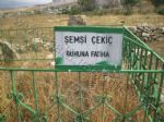 �emsi kek��...