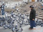 nazife (melek y�k�lkan)...