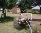 pir sultan abdal ...