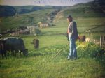 Bahattin PUR k�y harman�...