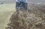 N�HAT HERK ED�YOR...