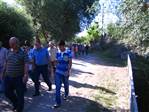 �NSANIMIZ...